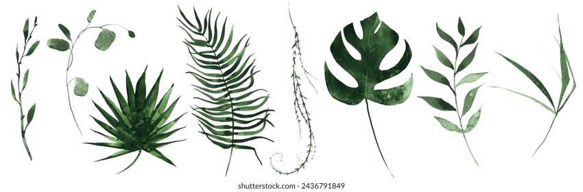 Aquarell Blumenset aus exotischen grünen Blättern, Zweigen, Zweigen usw. Vektor-nachgezeichnete isolierte tropische Dschungel-Grün-Illustration auf weißem Hintergrund. 