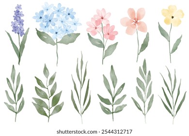 Watercolor floral set with flowers and leaves. Spring and summer watercolor flower element vector set. Watercolor hand painted botanical floral.