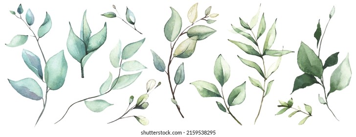 Watercolor floral set of green leaves, branches, twigs etc. Vector traced isolated greenery illustration. 