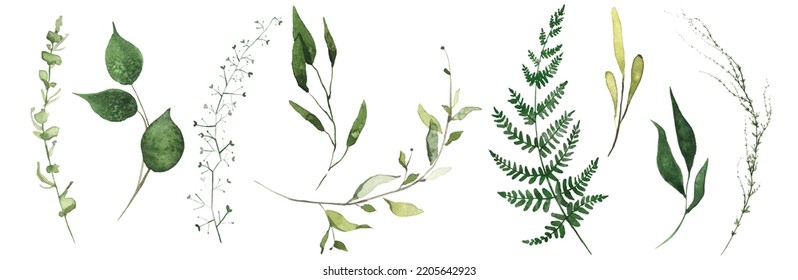 Watercolor floral set of green leaves, branches, twigs etc. Vector traced isolated greenery illustration. 