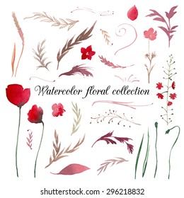 Watercolor floral set. Hand drawn poppy flowers and bud, leaves, branches, inflorescences isolated on white background. Vector natural objects for design