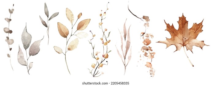 Watercolor floral set of orange and gray autumn leaves, branches, twigs. Vector traced isolated greenery illustration. 