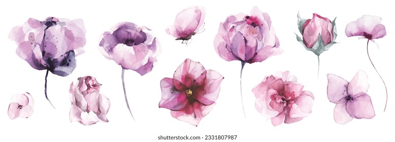 Watercolor floral set of violet, pink poppy, rose, peony, wild flowers, butterfly. Traced vector