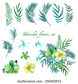 Watercolor floral set for your design. Vector illustration .