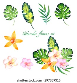 Watercolor floral set for your design. Vector illustration .