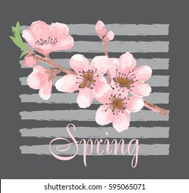 Watercolor floral  with spring blossom, branch with pink flowers (cherry, plum, almonds), hand draw sketch and watercolor painting on gray striped background