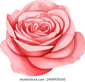 Watercolor floral texture pink rose