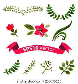 watercolor floral vector elements. Vector illustration