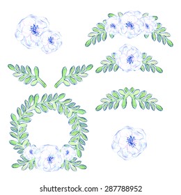 Watercolor floral vector.  Isolated set of hand drawn leaves and flowers. Floral  design for invitation, wedding or greeting cards. You can create your own compositions using elements.