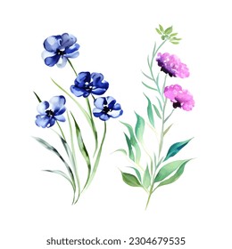 Watercolor floral wildflowers isolated on white, vector. Flowers and leaves digital illustration, spring design
