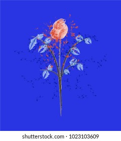 Watercolor Flower 01