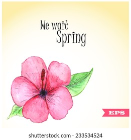Watercolor flower