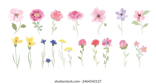 watercolor Flower art triptych vector element with Wildflower and leaf hand paint. Botanical illustration minimal style.