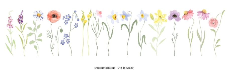 watercolor Flower art triptych vector element with Wildflower and leaf hand paint. Botanical illustration minimal style.