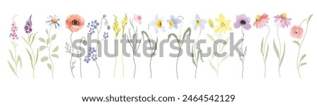 watercolor Flower art triptych vector element with Wildflower and leaf hand paint. Botanical illustration minimal style.
