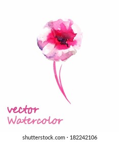 Watercolor flower blossomed pink on white background, vector