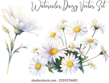 Watercolor Flower Bouquet, White Daisy Floral Illustration for Wedding Invitation Card
