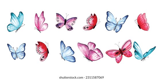 Watercolor flower circle background butterfly design vector eps 