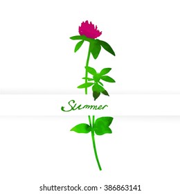 Watercolor flower clover. Vector