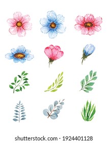Flor de color de agua, elemento floral de acuarela