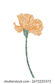 watercolor flower and element flower. Flat vector illustration . Collection botanical vector isolated on white background suitable for Wedding Invitation or greeting card