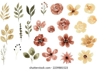 Watercolor Flower Floral Illustration Set