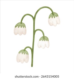 A watercolor flower with gentle lines and soft colors, perfect for creating custom bouquets and floral arrangements.