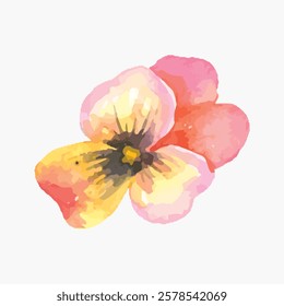 Watercolor flower illustration with pink, yellow, and orange petals. Delicate flower art, vibrant watercolor style, colorful petals, artistic floral design. Vintage flower illustration, vector.