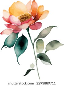 Watercolor flower isolated on white background