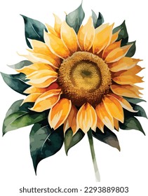 Watercolor flower isolated on white background