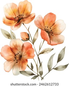 Watercolor Flower, Painting on canvas, Illustration