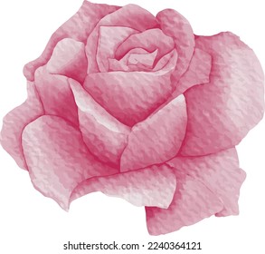 Watercolor Flower. Flower pink and red rose. Digital Watercolor.