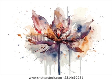 Watercolor flower red rose, Ranunculus, viola splash color background vector art illustration. 