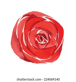 Watercolor flower, red roses, hand drawn illustration. 