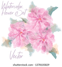 Watercolor Flower Set on White. Abstract Spring Bouquet. Artistic Floral Illustration with Flower and Leaves. Garden Plant Blooms. Pastel Color Pattern. Romance Wedding Card Decor.