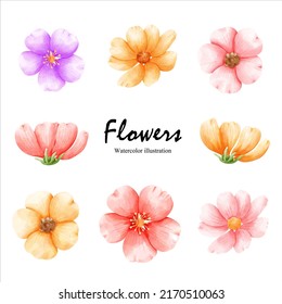 Watercolor flower, spring. Vector illustration
