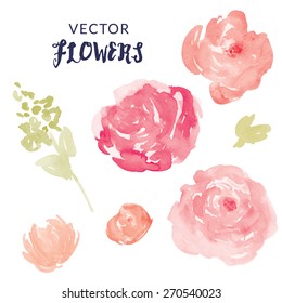 Watercolor Flower Vector With Blooms and Leaves. 