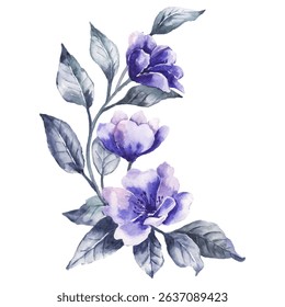 Watercolor flower vector illustration hand painted floral element isolated on white background