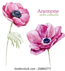 watercolor, flowers, anemones, pink