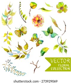 Watercolor flowers collection for different design with natural floral elements and butterfly, Vector