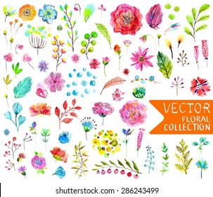Watercolor Flowers Collection For Different Design Over White, Vector