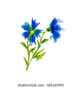 watercolor flowers cornflowers. Vector