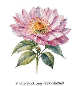 Watercolor flowers for design cards, vector EPS format.