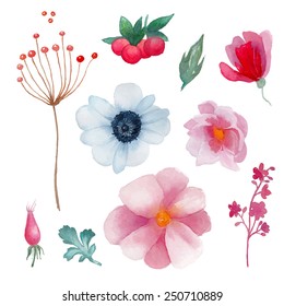 Watercolor flowers elements set. Vintage leaves, anemone, berries, branches. Vector hand drawn design illustration