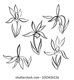 Watercolor flowers hand drawing set with Chinese art Vector illustration of isolated contour orchids
