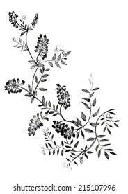 Watercolor flowers illustration in black and white vector illustration