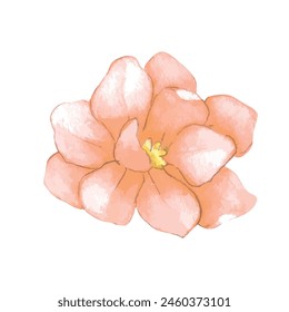 Ilustración de flores de acuarela sobre fondo blanco.