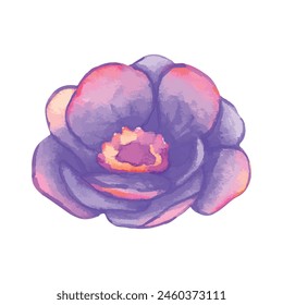 Watercolor flowers illustration on a white background.