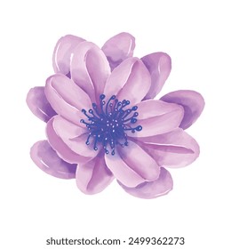 Watercolor flowers illustration on white background.