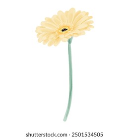 Watercolor flowers illustration on white background.